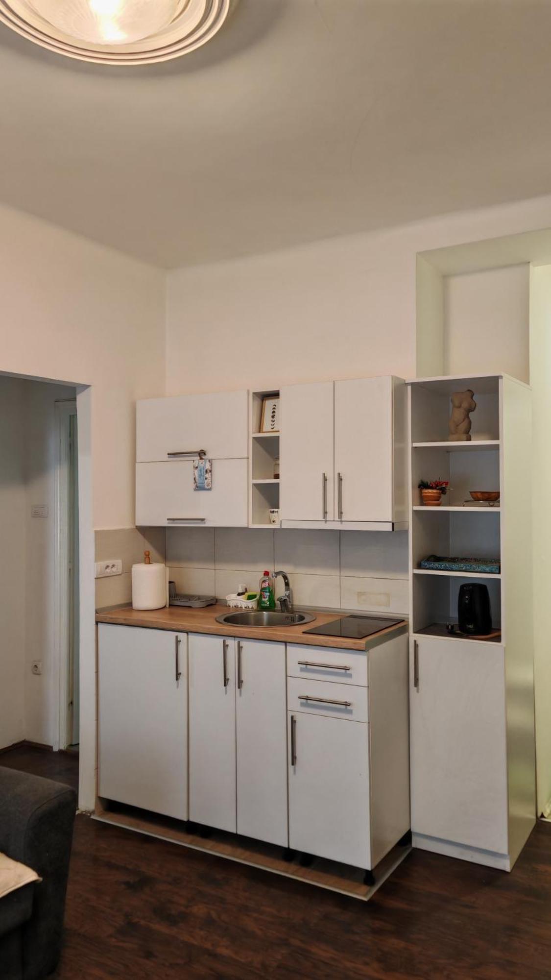 Zeleni Venac Studio & Apartment Belgrade Extérieur photo